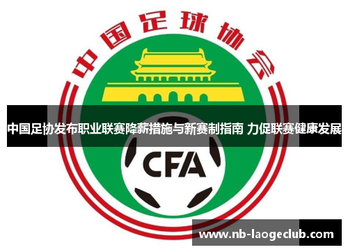 中国足协发布职业联赛降薪措施与新赛制指南 力促联赛健康发展 中国足协发布职业联赛降薪措施与新赛制指南 力促联赛健康发展