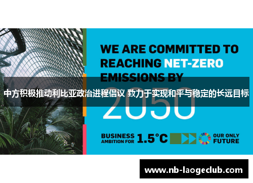 中方积极推动利比亚政治进程倡议 致力于实现和平与稳定的长远目标 中方积极推动利比亚政治进程倡议 致力于实现和平与稳定的长远目标