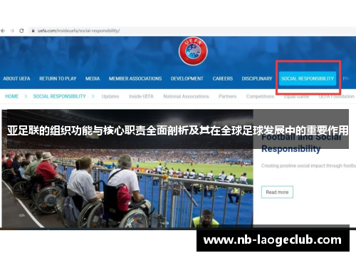 亚足联的组织功能与核心职责全面剖析及其在全球足球发展中的重要作用