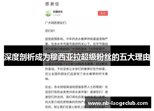 深度剖析成为穆西亚拉超级粉丝的五大理由